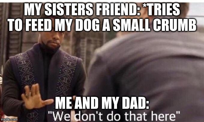 heheheeee |  MY SISTERS FRIEND: *TRIES TO FEED MY DOG A SMALL CRUMB; ME AND MY DAD: | image tagged in we dont do that here | made w/ Imgflip meme maker