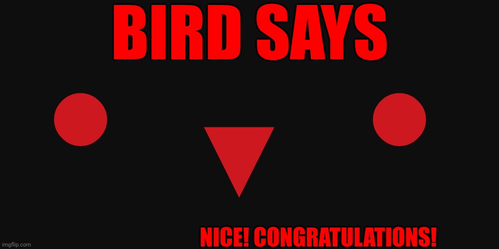 Bird says template | BIRD SAYS NICE! CONGRATULATIONS! | image tagged in epicvoidbird | made w/ Imgflip meme maker