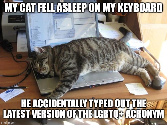 More letters keep being added to the acronym |  MY CAT FELL ASLEEP ON MY KEYBOARD; HE ACCIDENTALLY TYPED OUT THE LATEST VERSION OF THE LGBTQ+ ACRONYM | image tagged in cat sleep keyboard notebook,humor,lgbtq,sjws | made w/ Imgflip meme maker