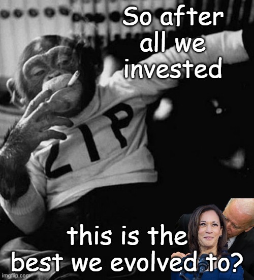 The best and the brightest we have to offer... | So after all we invested; this is the best we evolved to? | image tagged in monkey smoke zip | made w/ Imgflip meme maker