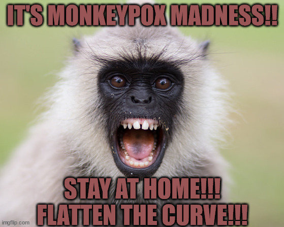 Monkeypox Madness | IT'S MONKEYPOX MADNESS!! STAY AT HOME!!! FLATTEN THE CURVE!!! | image tagged in monkeypox | made w/ Imgflip meme maker