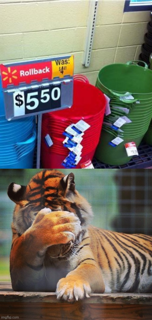 Price went up | image tagged in facepalm tiger,price,you had one job,memes,meme,store | made w/ Imgflip meme maker