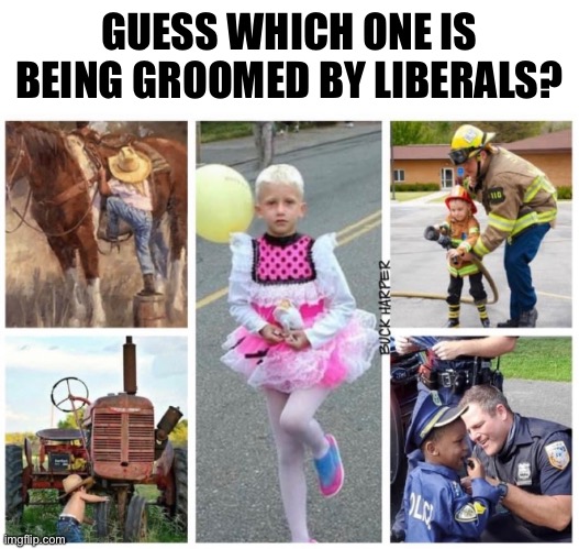 Liberal Boy | GUESS WHICH ONE IS BEING GROOMED BY LIBERALS? | image tagged in liberals,transgender,liberal logic | made w/ Imgflip meme maker