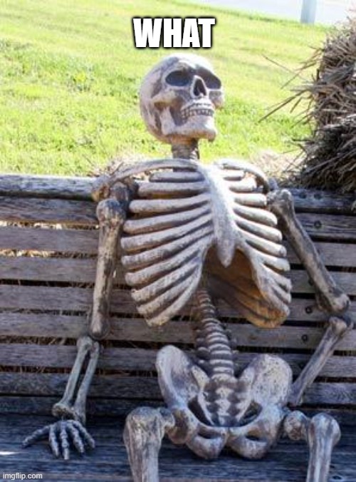 WHAT | image tagged in memes,waiting skeleton | made w/ Imgflip meme maker