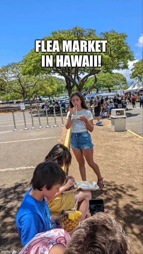 Another pic will be posted | FLEA MARKET IN HAWAII! | made w/ Imgflip meme maker