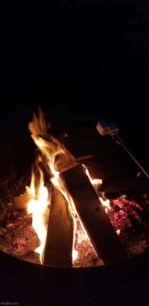 Bonfire smores | image tagged in bonfire smores | made w/ Imgflip meme maker