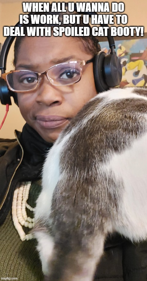 Working from Home | WHEN ALL U WANNA DO IS WORK, BUT U HAVE TO DEAL WITH SPOILED CAT BOOTY! | image tagged in cat memes | made w/ Imgflip meme maker