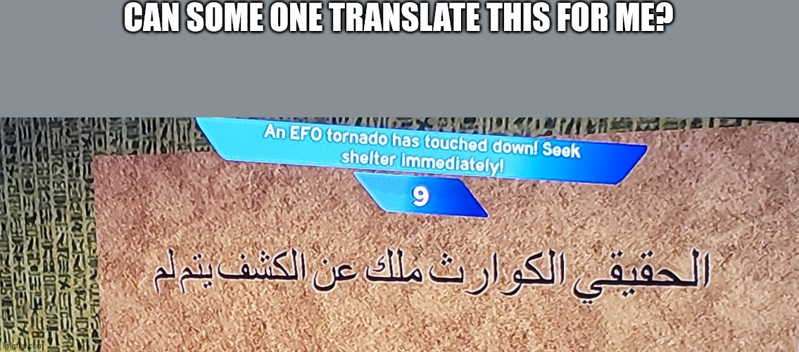 Please and thank you | CAN SOME ONE TRANSLATE THIS FOR ME? | image tagged in roblox | made w/ Imgflip meme maker