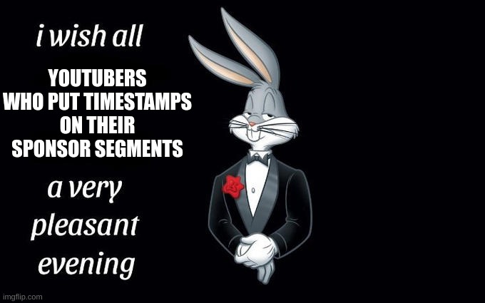 I wish all the X a very pleasant evening | YOUTUBERS WHO PUT TIMESTAMPS ON THEIR SPONSOR SEGMENTS | image tagged in i wish all the x a very pleasant evening,youtube,sponsor,ads,memes | made w/ Imgflip meme maker