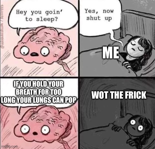 Shot op Brain ? | ME; IF YOU HOLD YOUR BREATH FOR TOO LONG YOUR LUNGS CAN POP; WOT THE FRICK | image tagged in waking up brain | made w/ Imgflip meme maker