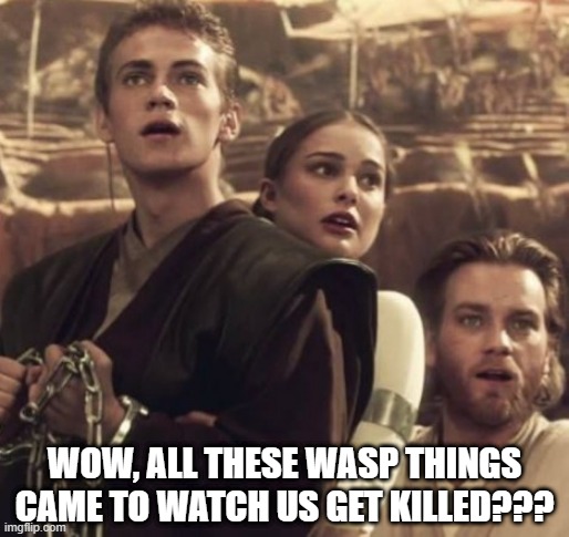 Audience | WOW, ALL THESE WASP THINGS CAME TO WATCH US GET KILLED??? | image tagged in anakin obi wan and padme | made w/ Imgflip meme maker