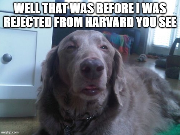 High Dog Meme | WELL THAT WAS BEFORE I WAS REJECTED FROM HARVARD YOU SEE | image tagged in memes,high dog | made w/ Imgflip meme maker