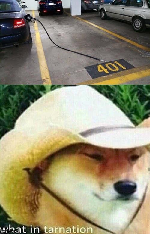 The pump | image tagged in what in tarnation dog,gas station,pump,you had one job,memes,parking lot | made w/ Imgflip meme maker