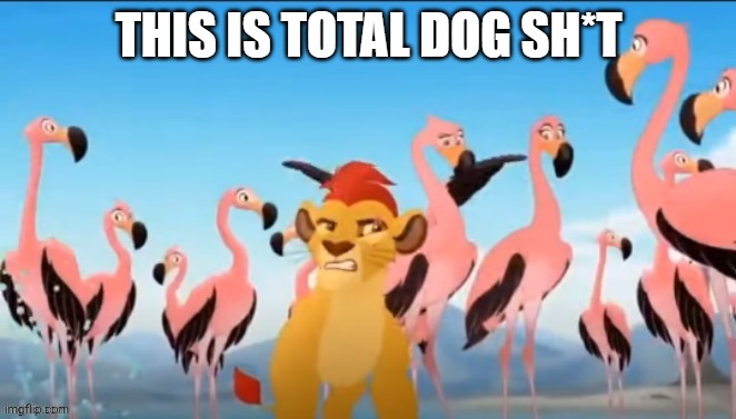 Dog sh*t | THIS IS TOTAL DOG SH*T | image tagged in dog sh t | made w/ Imgflip meme maker