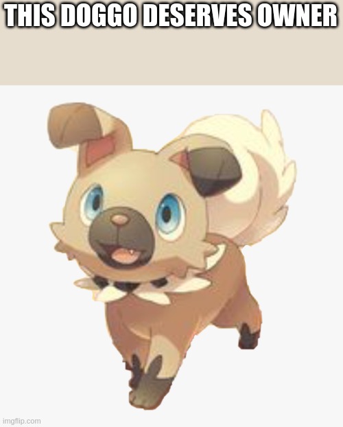 e | THIS DOGGO DESERVES OWNER | made w/ Imgflip meme maker