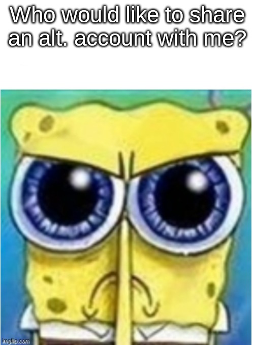 bored | Who would like to share an alt. account with me? | image tagged in angry spongebob blank | made w/ Imgflip meme maker