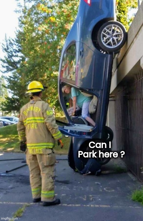 It says "Parallel Parking Only" |  Can I            
Park here ? | image tagged in this is fine,what the hell happened here,survivor,help i accidentally | made w/ Imgflip meme maker