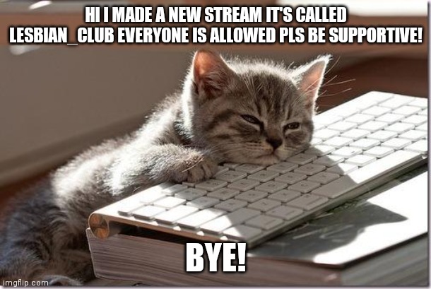 Made new stream feelin' good | HI I MADE A NEW STREAM IT'S CALLED LESBIAN_CLUB EVERYONE IS ALLOWED PLS BE SUPPORTIVE! BYE! | image tagged in bored keyboard cat | made w/ Imgflip meme maker