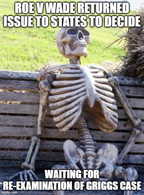 Disparate impact...poisonous idea | ROE V WADE RETURNED ISSUE TO STATES TO DECIDE; WAITING FOR RE-EXAMINATION OF GRIGGS CASE | image tagged in memes,waiting skeleton | made w/ Imgflip meme maker