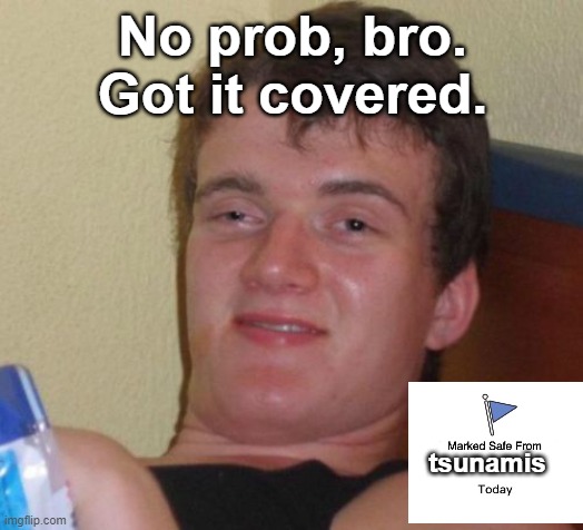 10 Guy Meme | No prob, bro. Got it covered. tsunamis | image tagged in memes,10 guy | made w/ Imgflip meme maker