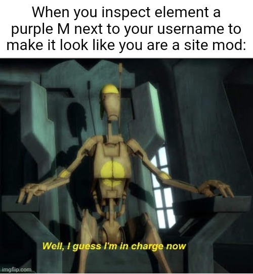 . | When you inspect element a purple M next to your username to make it look like you are a site mod: | image tagged in guess i'm in charge now | made w/ Imgflip meme maker
