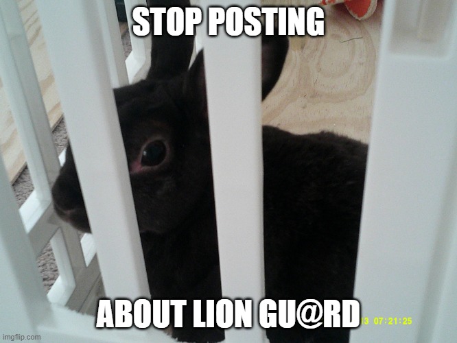 Coconut | STOP POSTING; ABOUT LION GU@RD | image tagged in coconut | made w/ Imgflip meme maker