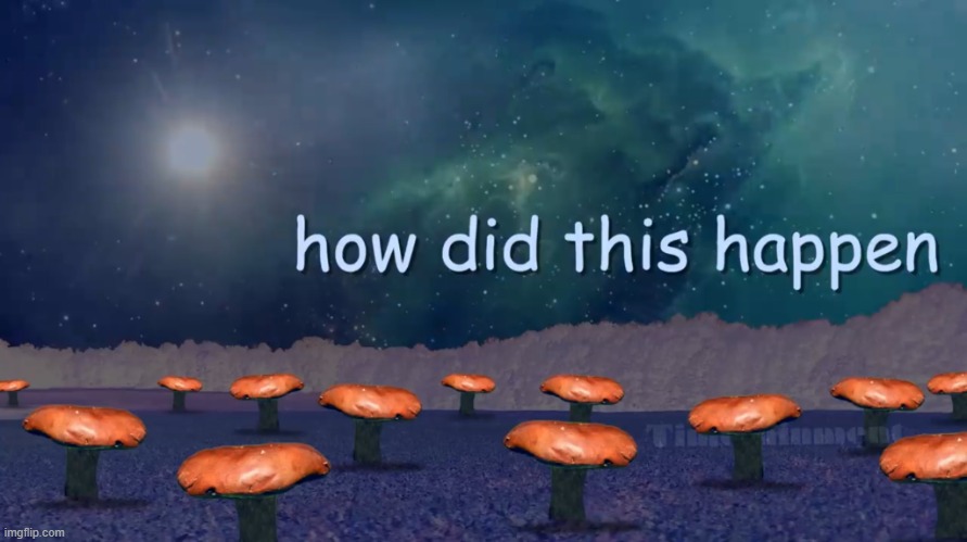 How did this happen | image tagged in how did this happen | made w/ Imgflip meme maker