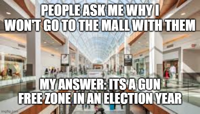 Gun free zone in an election year | PEOPLE ASK ME WHY I WON'T GO TO THE MALL WITH THEM; MY ANSWER: ITS A GUN FREE ZONE IN AN ELECTION YEAR | image tagged in shopping mall,gun free zone,election year | made w/ Imgflip meme maker