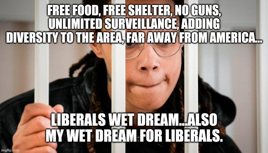Brittany Griner | FREE FOOD, FREE SHELTER, NO GUNS, UNLIMITED SURVEILLANCE, ADDING DIVERSITY TO THE AREA, FAR AWAY FROM AMERICA... LIBERALS WET DREAM...ALSO MY WET DREAM FOR LIBERALS. | image tagged in brittany griner | made w/ Imgflip meme maker