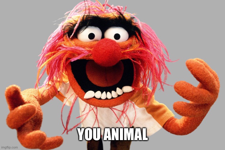 animal muppets | YOU ANIMAL | image tagged in animal muppets | made w/ Imgflip meme maker