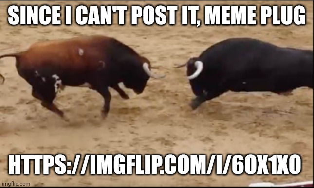 The site mods would gangbang me if I did and then ban me | SINCE I CAN'T POST IT, MEME PLUG; HTTPS://IMGFLIP.COM/I/6OX1XO | image tagged in bull fight | made w/ Imgflip meme maker