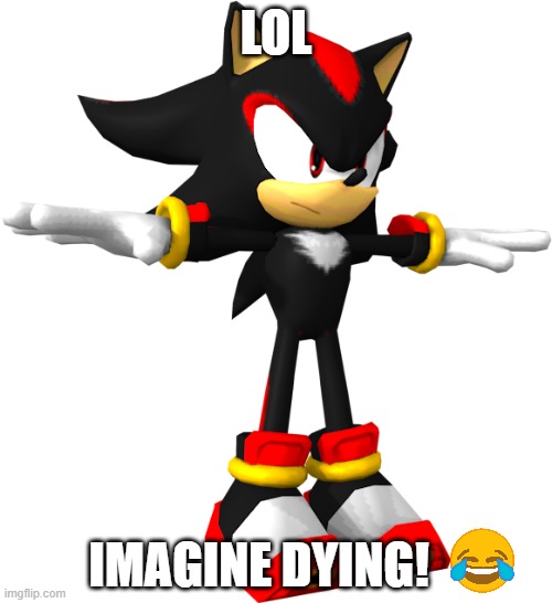 Imagine | LOL; IMAGINE DYING! | image tagged in shadow the hedgehog t pose | made w/ Imgflip meme maker
