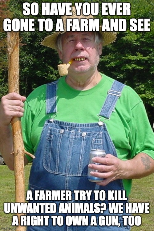 Redneck farmer | SO HAVE YOU EVER GONE TO A FARM AND SEE A FARMER TRY TO KILL UNWANTED ANIMALS? WE HAVE A RIGHT TO OWN A GUN, TOO | image tagged in redneck farmer | made w/ Imgflip meme maker