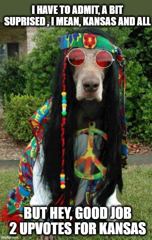 Hippie dog  | I HAVE TO ADMIT, A BIT SUPRISED , I MEAN, KANSAS AND ALL BUT HEY, GOOD JOB 2 UPVOTES FOR KANSAS | image tagged in hippie dog | made w/ Imgflip meme maker