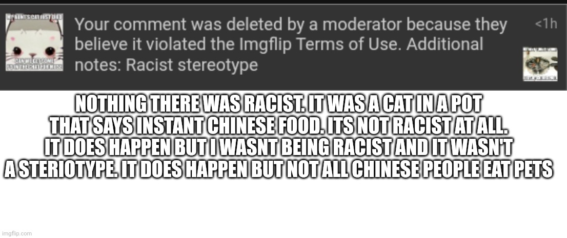 NOTHING THERE WAS RACIST. IT WAS A CAT IN A POT THAT SAYS INSTANT CHINESE FOOD. ITS NOT RACIST AT ALL. IT DOES HAPPEN BUT I WASNT BEING RACIST AND IT WASN'T A STERIOTYPE. IT DOES HAPPEN BUT NOT ALL CHINESE PEOPLE EAT PETS | image tagged in white blank square no transparency | made w/ Imgflip meme maker