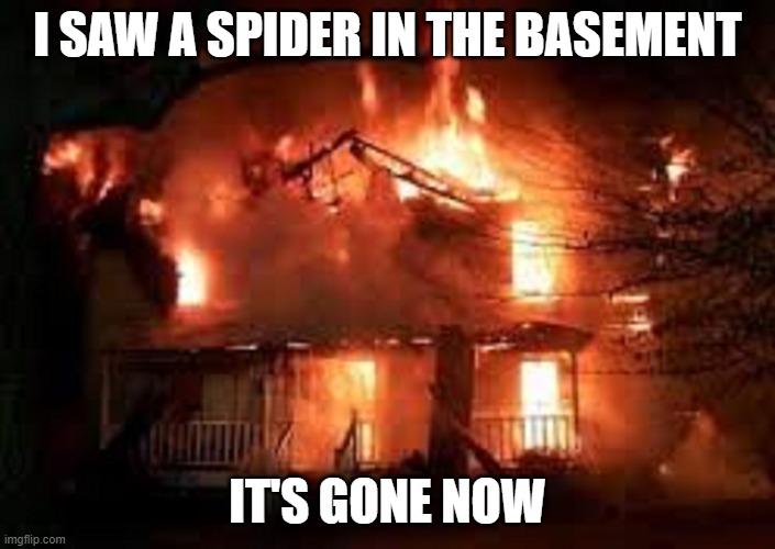 I saw a spider in the basement | I SAW A SPIDER IN THE BASEMENT; IT'S GONE NOW | image tagged in burning house | made w/ Imgflip meme maker