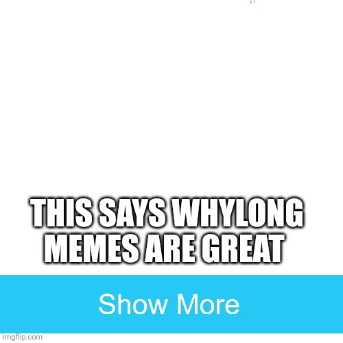 I love long memes | THIS SAYS WHYLONG MEMES ARE GREAT | image tagged in memes,blank transparent square | made w/ Imgflip meme maker