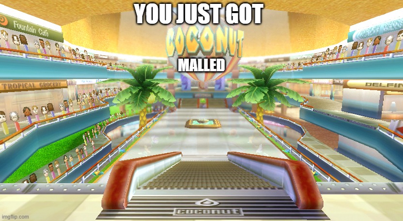 Coconut Mall | YOU JUST GOT MALLED | image tagged in coconut mall | made w/ Imgflip meme maker
