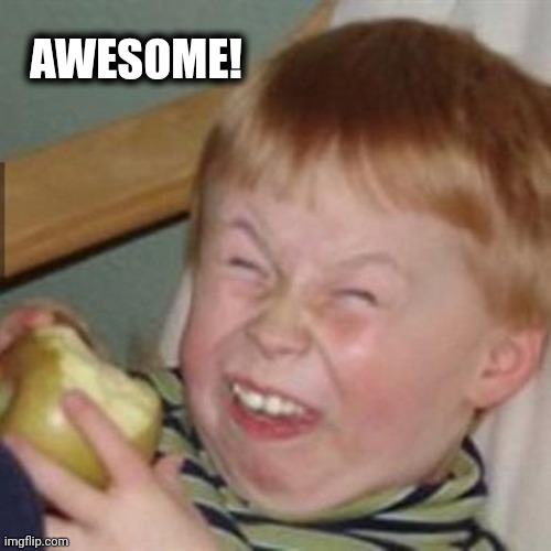 laughing kid | AWESOME! | image tagged in laughing kid | made w/ Imgflip meme maker