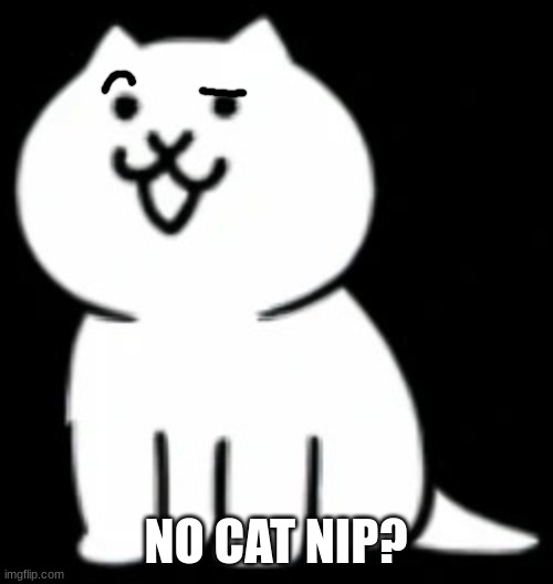 no cat nip? | NO CAT NIP? | image tagged in modern cat my beloved,cat,catnip,memes,funny,cute | made w/ Imgflip meme maker