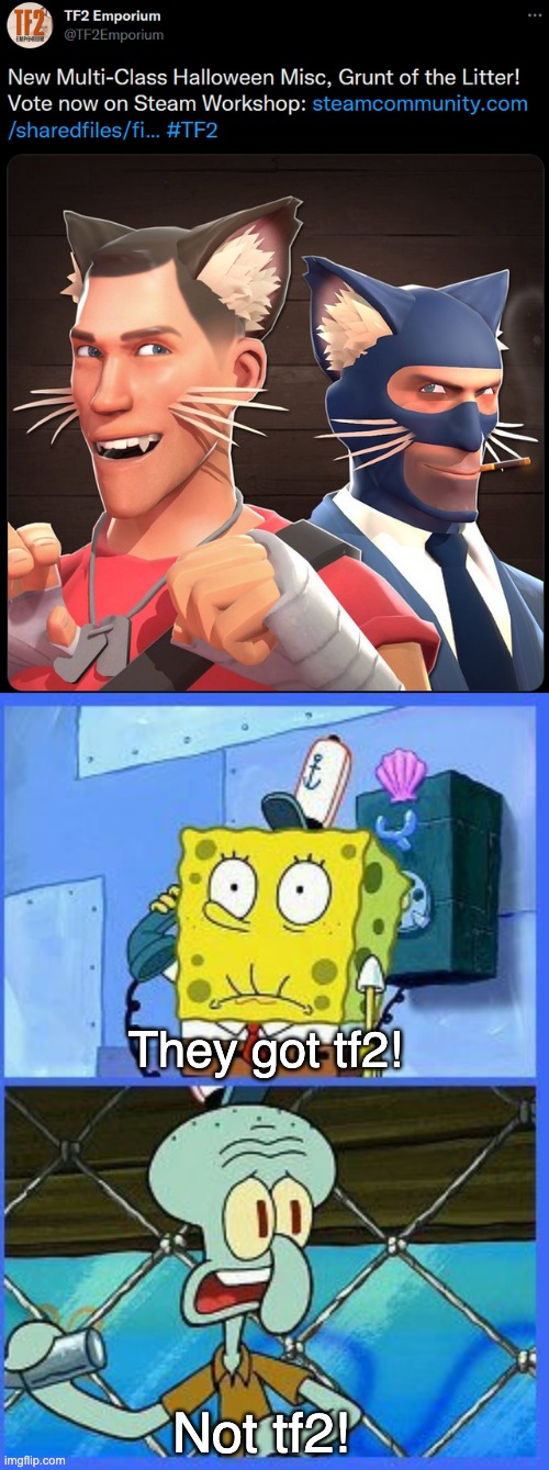 They got tf2! Not tf2! | image tagged in no not the navy | made w/ Imgflip meme maker