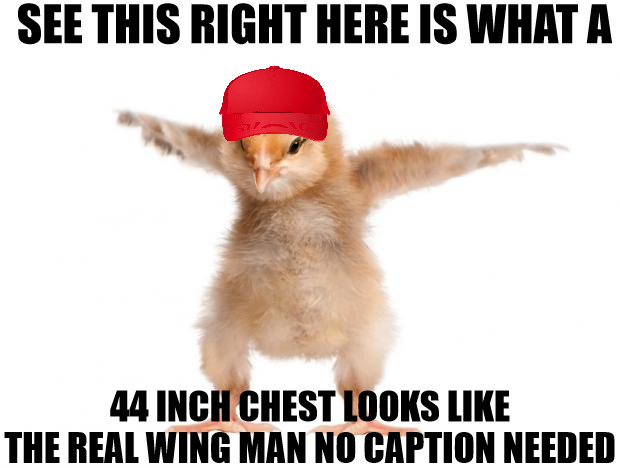 WHEN YOU WORK OUT EVERY DAY IT SHOWS | SEE THIS RIGHT HERE IS WHAT A; 44 INCH CHEST LOOKS LIKE THE REAL WING MAN NO CAPTION NEEDED | image tagged in strongest chicken,meme | made w/ Imgflip meme maker