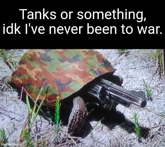 Found this on r/Bossfight |  Tanks or something, idk I've never been to war. | image tagged in idk,memes,war,turtles,tank | made w/ Imgflip meme maker