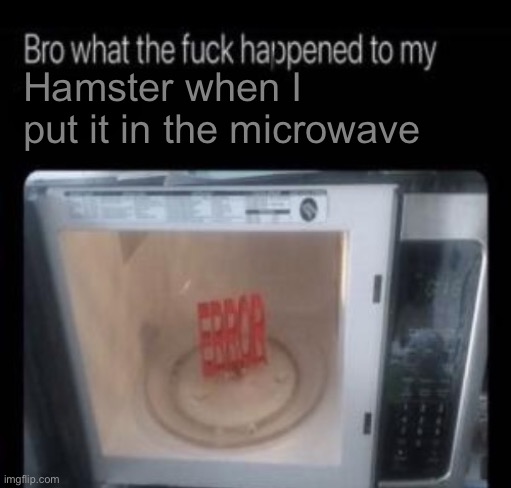 I did this cuz I was bored | Hamster when I put it in the microwave | image tagged in bro what the frick happened to my blank | made w/ Imgflip meme maker