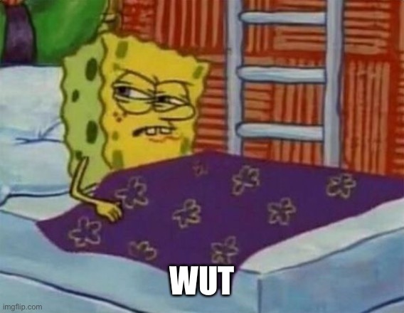 spongebob sleeping | WUT | image tagged in spongebob sleeping | made w/ Imgflip meme maker