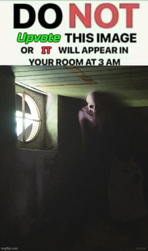 image tagged in memes | made w/ Imgflip meme maker