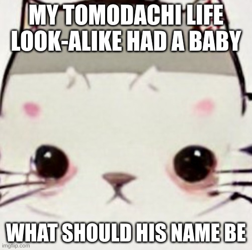hoes zad | MY TOMODACHI LIFE LOOK-ALIKE HAD A BABY; WHAT SHOULD HIS NAME BE | image tagged in hoes zad | made w/ Imgflip meme maker