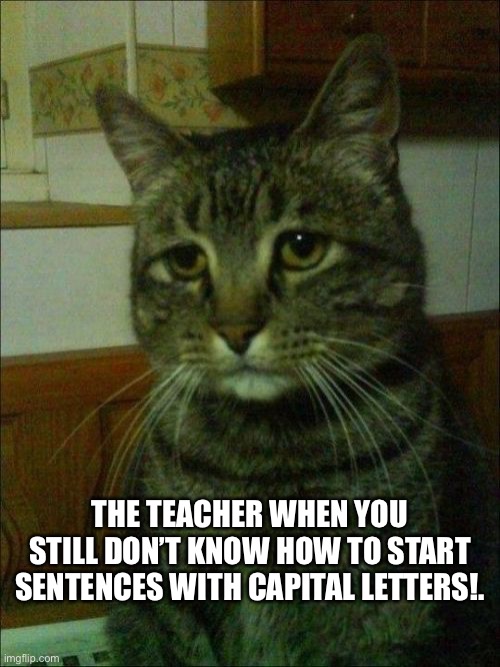 Ughhh |  THE TEACHER WHEN YOU STILL DON’T KNOW HOW TO START SENTENCES WITH CAPITAL LETTERS!. | image tagged in memes,depressed cat | made w/ Imgflip meme maker