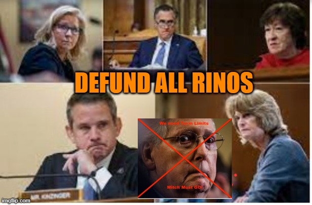 Defund All Rinos | DEFUND ALL RINOS | image tagged in liz cheney-bush warmongers with blood on their hands,romney,collins,murkowski,bitch mcconnell | made w/ Imgflip meme maker