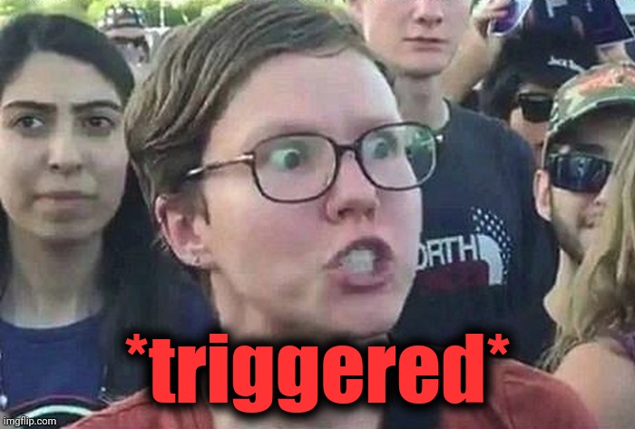 Triggered Liberal | *triggered* | image tagged in triggered liberal | made w/ Imgflip meme maker